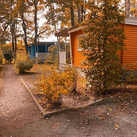 Semesterpark Waldkiez *